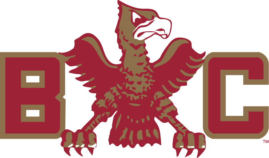 Boston College Eagles 1946-1977 Primary Logo diy iron on heat transfer